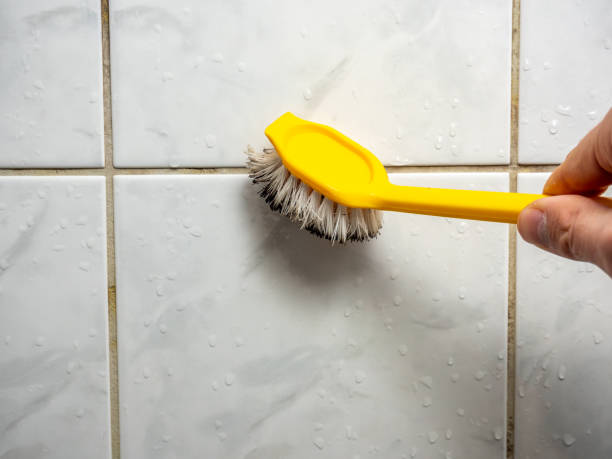 Best Commercial Mold Remediation in Falls Church, VA
