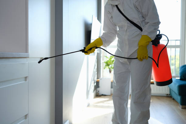 Professional Mold Remediation in Falls Church, VA