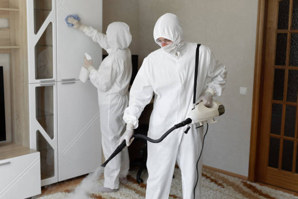 Best Residential Mold Remediation in Falls Church, VA