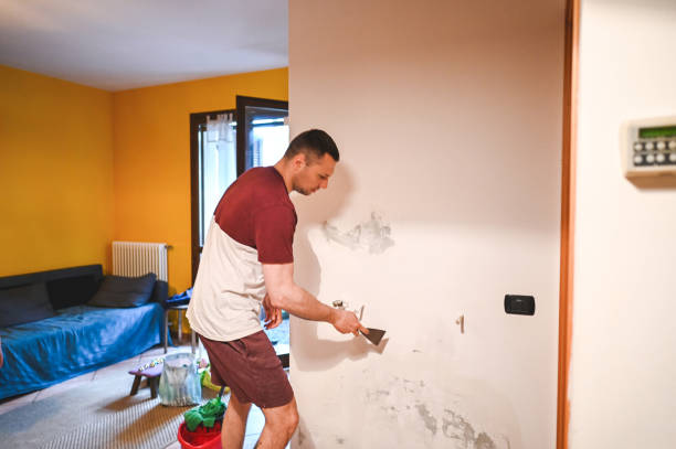 Best Bathroom Mold Remediation in Falls Church, VA